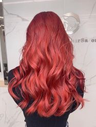 -潘多拉Hairsalon