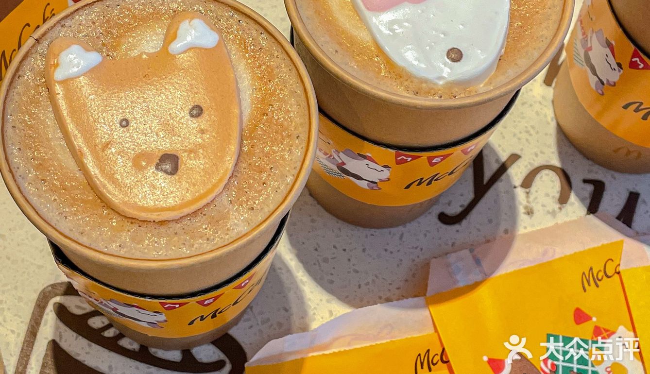 🧸成都的冬天｜萌宠蛋白霜竟然如此可爱 