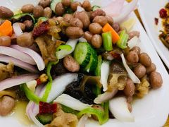 素拼-张大羊肉面馆