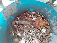 -海上驿站渔家菜馆