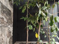 -Cafe Mersey默西咖啡(平江店)
