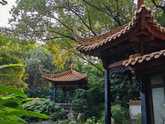 -广州兰圃