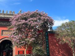 -春熙路步行街