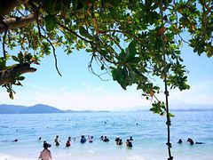 -东姑阿都拉曼海洋公园