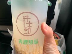 -德禄酸奶(莫家街店)