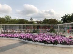 -深圳国际园林花卉博览园