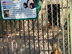 -合肥野生动物园