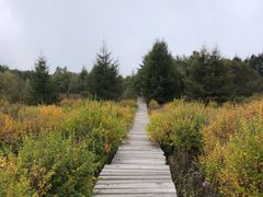 -白草畔自然风景区