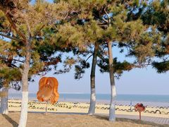 -巧克力渔家.小船海鲜家常菜(万平口店)