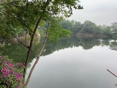 -王借岗森林公园