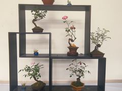 -郑州植物园