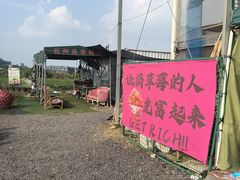-长洲岛都市农业公园