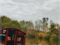 -溱湖国家湿地公园