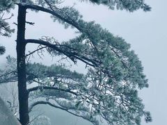 -萍乡武功山风景名胜区