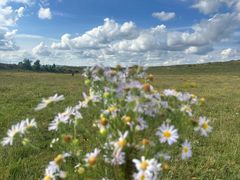-塞罕坝国家级自然保护区