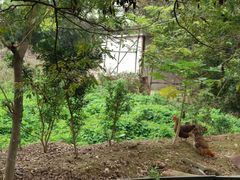 -龟场私房菜