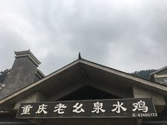 -老幺泉水鸡