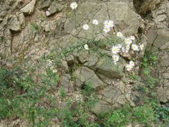 -青州市云门山风景区