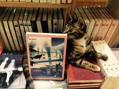 -猫的天空之城概念书店(杭州南宋御街店)