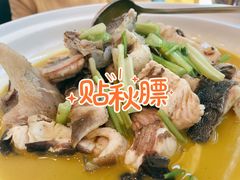 -饭怕鱼(阳光100店)
