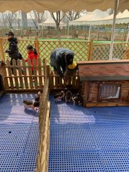 -萌宠亲子动物乐园(槐房万达店)