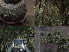 -老君山