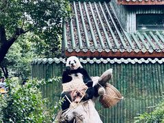 -广州动物园
