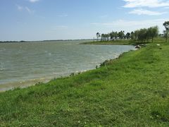 -瑶湖郊野森林公园