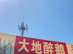 门面-大地农庄(逢沙大道店)