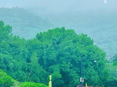 -树山生态村