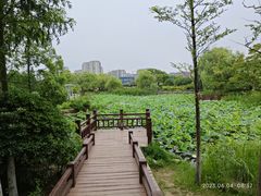 -海天湖公园