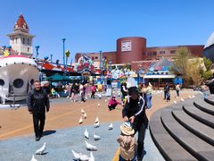 -烟台海昌鲸鲨海洋公园