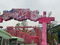 -北京凤凰岭
