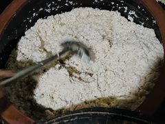 醪糟-张醪糟