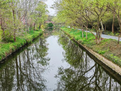 -日照海滨国家森林公园