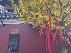 -长春观