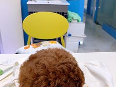 -瑞派宠物医院(搏威敦和院)