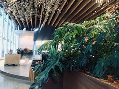 -Seesaw Coffee(朝阳大悦城店)