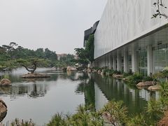 -罗红摄影艺术馆