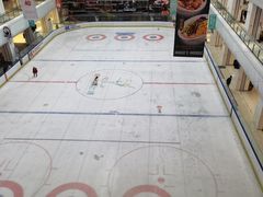 -炫采冰场(红博中央公园商场店)