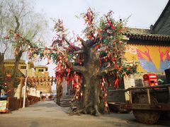 -白鹿原影视城