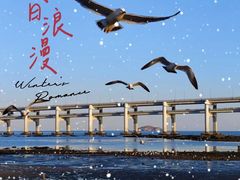 -黑石礁公园
