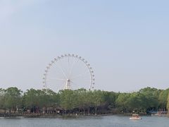 -石家庄市植物园