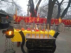 -大槐树寻根祭祖园