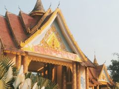 -西双版纳傣族园