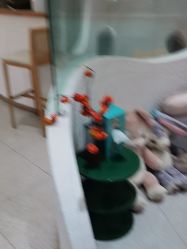 -薇薇安花系SPA