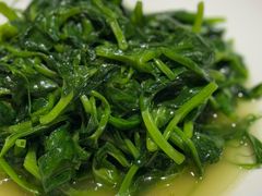 清炒碗豆尖-尘香•传统川菜(创汇首座店)