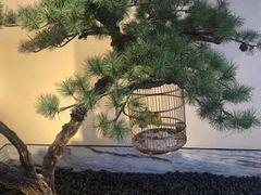 -小厨娘淮扬菜(六合欢乐港店)