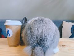 -小意思咖啡店(草桥店)