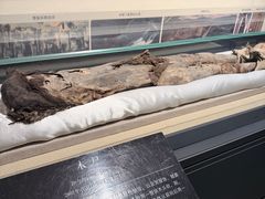-巴音郭楞蒙古自治州博物馆
